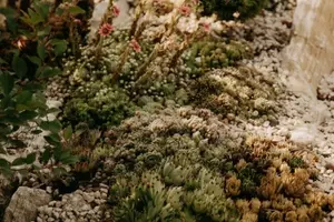 Jardines de Grava: La Revolución del Paisajismo Sostenible y sin Malezas
