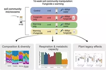 Fungicidas Agrícolas Potencian la Resistencia Microbiana y Afectan la Salud del Suelo