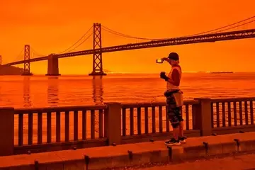 El Impacto Económico del Humo de Incendios Forestales: Un Análisis Profundo