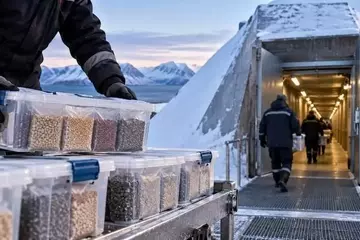 Ucrania Salvaguarda su Patrimonio Agrícola: 773 Muestras de Semillas Depositadas en el Ártico