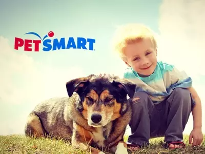 The PetSmart Promise: Diverse Services and Passionate Care for Your Pets
