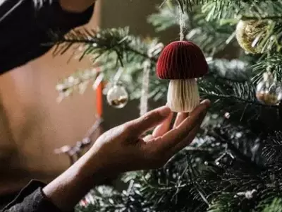 Crocus Christmas Collection: Trendy Gifts to Light Up the Season