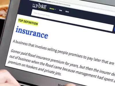 Why Lemonade Is the Future of Insurance