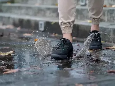 Step Into Comfort and Protection: The Perfect Shoes for Any Weather