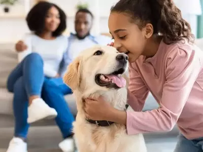 Top Picks for Dog Treats, Toys, and Hydration