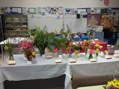 Young Gardeners Steal the Spotlight at Local Flower Show