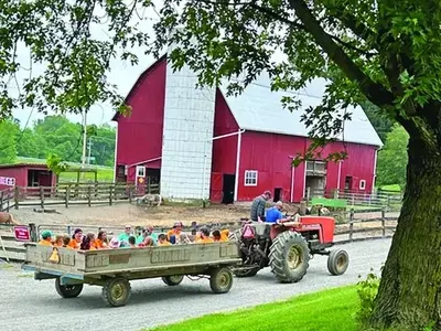 Healing Hearts: A Unique Camp for Grieving Children