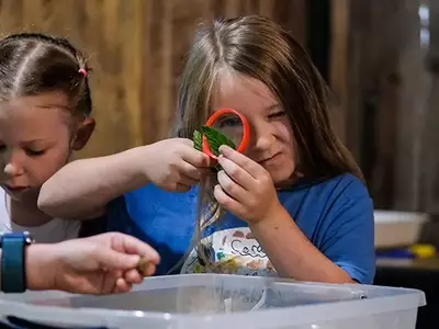 Exploring Nature Through Summer Camp Adventures at Macoskey Center