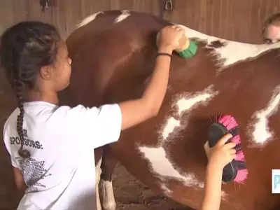 Summer Fun Awaits at the Enchanting Farm Camp