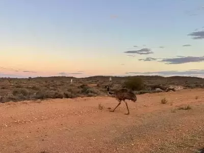 A Family Adventure Through the Australian Outback