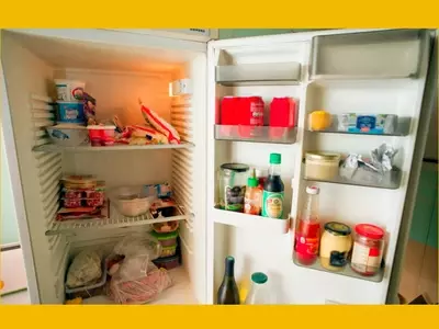 Generational Perspectives: The 'Millennial Flex' of a Garage Fridge Sparks Online Debate