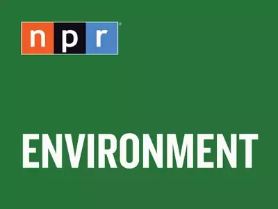 The Enduring Challenge of Sealing Abandoned Oil and Gas Wells Across the U.S.