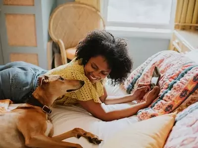Your Canine Companion: More Than Just a Pet, They're Family