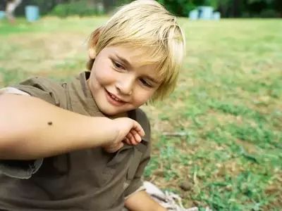 Escalating Tick Bite Incidents Raise Public Health Concerns, CDC Reports