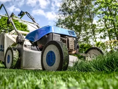 Dominando el Arte de la Jardinería: Guía Esencial para Principiantes