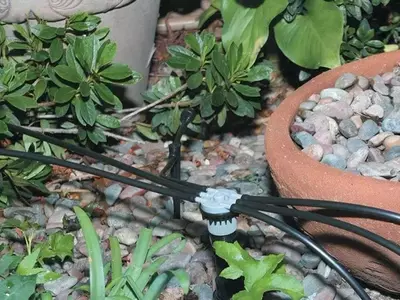Maximice el Bienestar de sus Plantas con Riego por Goteo en Macetas: Una Guía Detallada