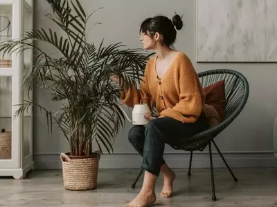 El poder verde en casa: Plantas de interior para el bienestar emocional y la salud