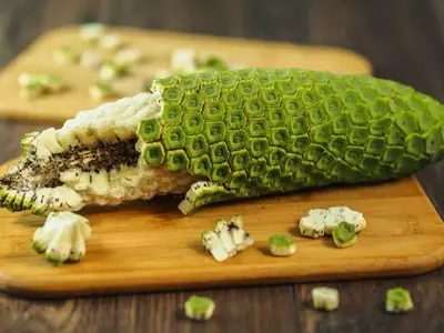 Descubriendo la Monstera Deliciosa: Desde su Fruto Exótico hasta sus Cuidados Esenciales