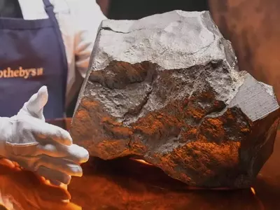 A Martian Meteorite's Journey to Auction