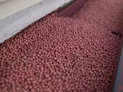 Argentina Logra Cosecha Histórica de Soja: Un Hito en Seis Años