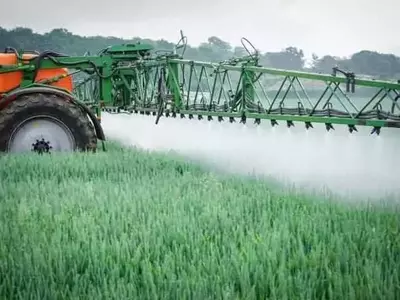 Aumento Alarmante del Comercio Ilegal de Pesticidas en Europa