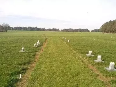 Mejora del pH del Suelo: Una Estrategia Crucial para Reducir Emisiones de Óxido Nitroso en la Agricultura