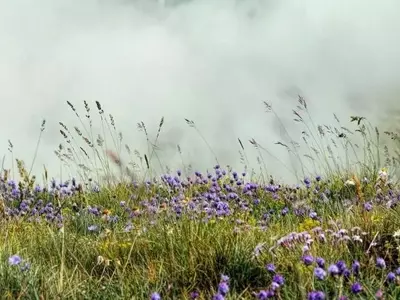Pastizales: ¿Aliados o Adversarios en la Lucha Climática?