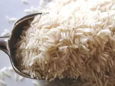 Arroz Biofortificado con Zinc: Un Avance Clave contra la Desnutrición en India