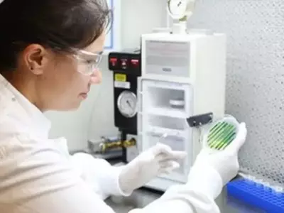 Algas: La Maravilla Microscópica que Impulsa el Futuro de la Biotecnología y la Medicina Regenerativa