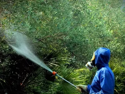 Dimetoato: Prohibición, Riesgos y Alternativas Sostenibles en la Agricultura
