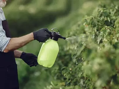 Manejo Seguro y Efectivo del Glifosato en Mochilas de 16 Litros: Guía Completa para el Control de Malezas