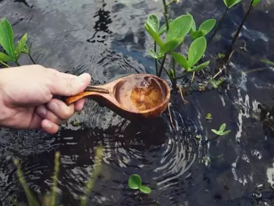 Secretos para un Suelo Fértil: Guía Completa para Jardines Vibrantes