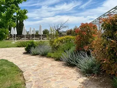 Jardinería y Paisajismo: Creando Espacios Verdes Sostenibles y Conscientes