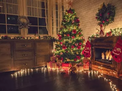 El fascinante origen y evolución del árbol de Navidad: De ritual pagano a símbolo festivo global