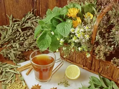 Plantas Medicinales: Impacto Actual, Avances y su Relevancia Social y Sanitaria