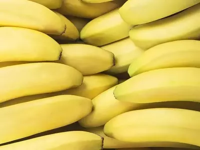 La Banana: Un Viaje Global de Producción, Exportación y Adaptación