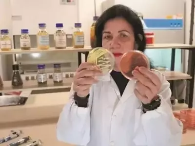 Revolución Agrícola en Brasil: Inoculación Microbiana Impulsa Maíz y Soja