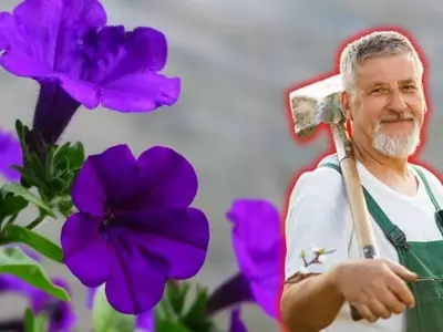 Guía Definitiva para el Cultivo Exitoso de Petunias: Flores Vibrantes Garantizadas