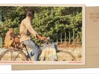 A Resonant Echo: Performing Monkeys in Delhi's Dynamic Landscape