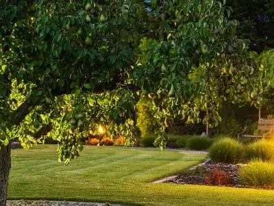 Jardines Sostenibles: Maximizando la Eficiencia Energética y el Ahorro en Espacios Exteriores