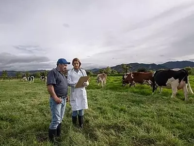 La Crucial Sinergia entre Agricultura Sostenible y Bienestar Animal