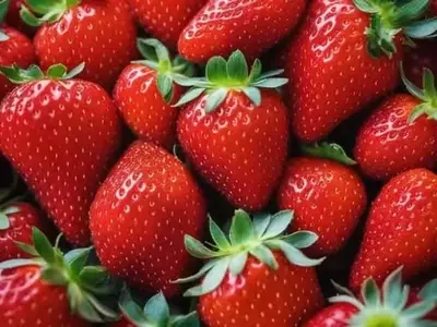 Optimización del Cultivo de Fresas Post-Cosecha para una Producción Abundante