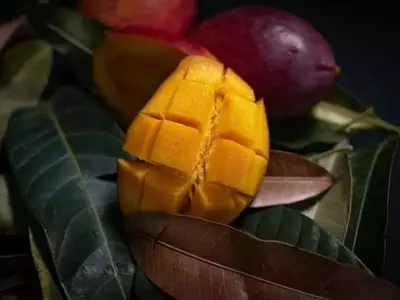 Revolucionando la Conservación del Mango: Avances en Ozonización Acuosa