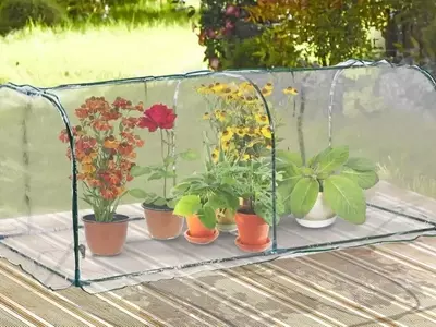 Estrategias Cruciales para Salvaguardar tus Plantas de las Bajas Temperaturas
