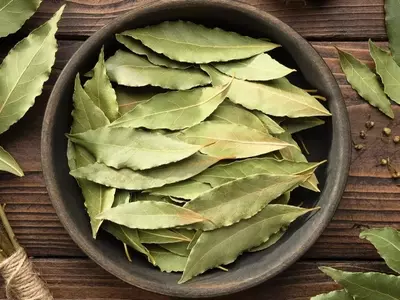 Descubriendo los Secretos del Laurel en la Cocina: Tradición, Beneficios y Consejos Prácticos