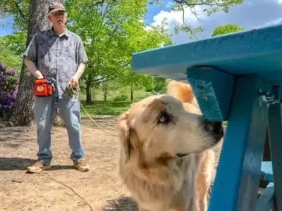 Detectando Plagas Agrícolas: La Sorprendente Habilidad Canina