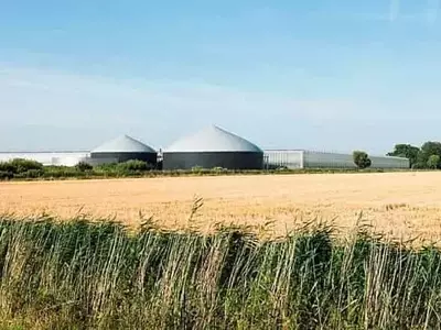 Westhof Bio: Un Modelo de Innovación en la Agricultura Orgánica Europea