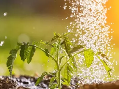 Optimización del Recurso Hídrico en Espacios Verdes: Estrategias Innovadoras para Jardines y Huertos