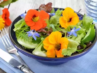 El Arte Culinario de las Flores Comestibles: Guía Completa para Explorar Sabores y Beneficios