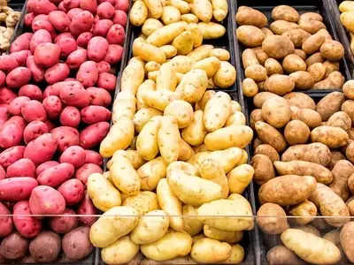 El Arte Culinario de la Patata: Guía Definitiva para Elegir la Variedad Perfecta